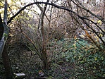 IMG_20191024_162510