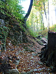 Ösvény