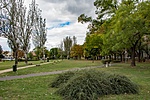_DSC0064