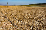 _DSC0269