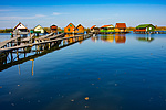 _DSC0249