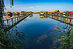 _DSC0254