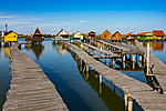 _DSC0247