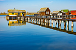 _DSC0255