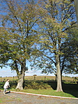 IMG_2998