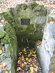 IMG_3359