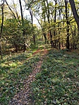 IMG_20191026_141002