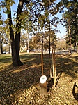 IMG_20191026_142537
