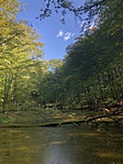 IMG_1796