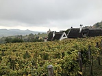 IMG_1909