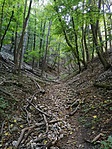 IMG_20191012_143102