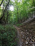 IMG_20191012_143059