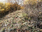 IMG_20191017_132735