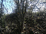 IMG_20191017_133353