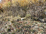 IMG_20191017_133443