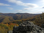 IMG_20191017_145131