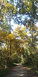 20191013_143006