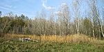 20191019_150405