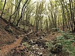 20191006_134438