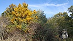20191013_110736