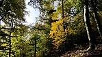 20191013_101713