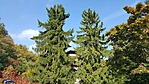20191013_120828