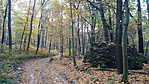 20191024_081343