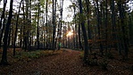 20191024_082832