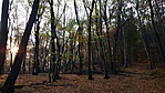 20191024_083021