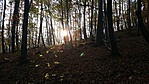20191024_083214