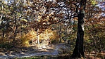 20191024_092400