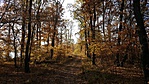 20191024_092407
