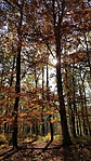 20191024_123158