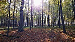 20191024_123758