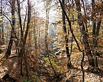 20191024_125548