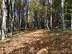 IMG_20191019_133945