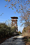 DSC_0916