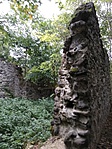 IMG_20191007_160426