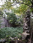 IMG_20191007_160419