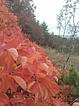 IMG_20191012_113230