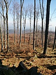 IMG_20191026_104532