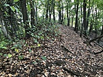 IMG_9422