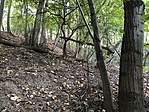 IMG_9416
