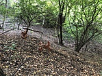 IMG_9410