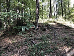 IMG_9393
