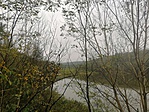 IMG_20191005_130730