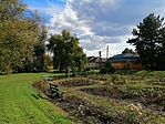 IMG_20191007_144520