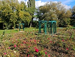 IMG_20191007_144420
