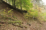 IMG_1849_1