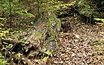 IMG_1844_1